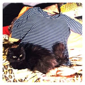 Tommy Bahama Cotton striped top